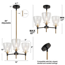 Aviannaiser 3-Light 16" Modern Black and Gold Chandelier, Radial