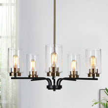 Hormosira 5-Light 24" Modern Black Chandelier, Radial Cylinder