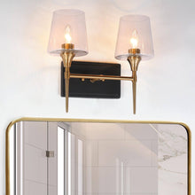 Baoceal 2-Light Black and Brass Vanity Light