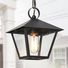 Nigracrata 1-Light Mini Black Outdoor Pendant Light