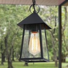 Shelijars 1-Light Mini Black Outdoor Pendant Light