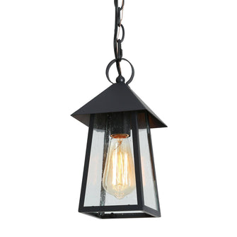 Shelijars 1-Light Mini Black Outdoor Pendant Light