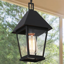 Shelijars 1-Light Mini Black Outdoor Pendant Light