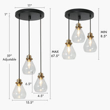 Thimbleweed 3-Light 16"Modern Bell Glass Black Chandelier, Cluster