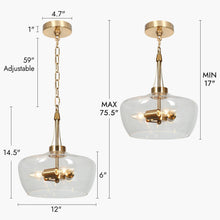 Dendrocnide 3-Light 12" Modern Brass Chandelier, Clear Glass Drum