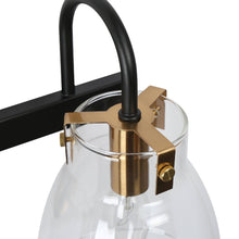 Iianmin 1-Light Black and Gold Vanity Light