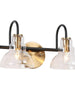 Saxifraga 2-Light Black and Brass Vanity Light