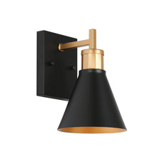 Umbralicious 1-Light Wall Sconce