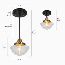 Gnetophyta 1-Light Mini Black Modern Pendant Light Fixtures