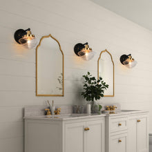 Gnetophyta 1-Light Black and Gold Vanity Light