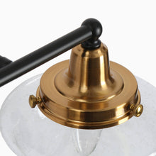 Gnetophyta 2-Light Black and Brass Vanity Light