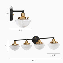 Gnetophyta 4-Light Black and Brass Vanity Light