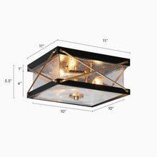 Orpheunican 3-Light Mini Black Flush-Mount Light