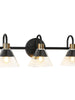 Moolidish 3-Light Black and Brass Vanity Light