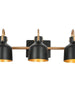 Bladderpod 3-Light Black and Gold Vanity Light