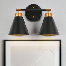 Tourmaline 2-Light Black and Brass Vanity Light