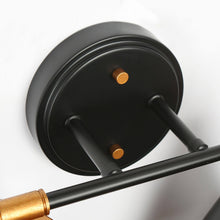 Tourmaline 2-Light Black and Brass Vanity Light