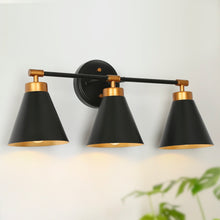 Tourmaline 3-Light Black and Brass Vanity Light