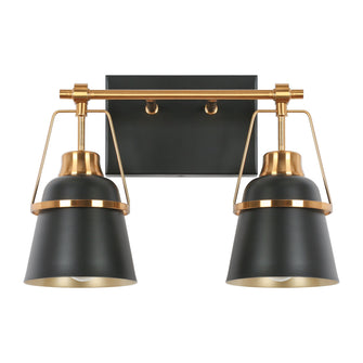 Alstroemeria 2-Light Black and Brass Vanity Light