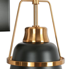 Alstroemeria 2-Light Black and Brass Vanity Light