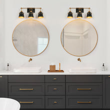 Alstroemeria 3-Light Black and Brass Vanity Light