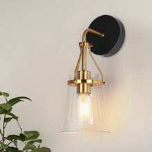 Auisre 1-Light Black and Gold Vanity Light