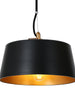 Turnipisne 1-Light Medium Black Modern Pendant Light Fixtures