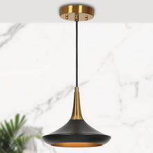 Phapricornus 1-Light Mini Black Modern Pendant Light Fixtures