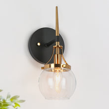 Capensis 1-Light Black and Gold Vanity Light