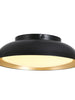 Luckummin 1-Light Small Black LED Flush-Mount Light