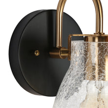 Aidtyrtm 1-Light Black and Brass Vanity Light