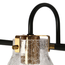 Aidtyrtm 4-Light Black and Brass Vanity Light