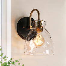 Letophafos 1-Light Black and Brass Vanity Light