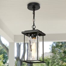 Mangosteen 1-Light Mini Black Outdoor Pendant Light