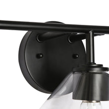 Lethoptird 3-Light Black Vanity Light