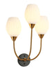 GriseldaFenwick 3-Light Modern Black and Gold Glass Wall Sconce