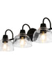 Lethoptird 3-Light Black Vanity Light