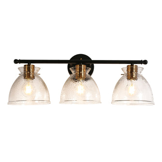 Sedyweeg 3-Light Black and Gold Vanity Light