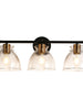 Sedyweeg 3-Light Black and Gold Vanity Light