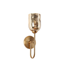 Nicomedes 1-Light Gold Wall Sconce