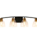 Jacqueling 4-Light Black and Brass Vanity Light