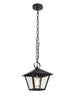 Nigracrata 1-Light Mini Black Outdoor Pendant Light