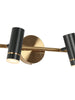 Floeice 2-Light Black and Brass LED Vanity Light