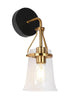 Auisre 1-Light Black and Gold Vanity Light