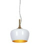 Alberta 1-Light Pendant 159.99