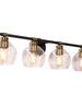 Amaryllis 4-Light Black and Brass Vanity Light