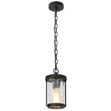 Andy 10"H 1-Light Outdoor Hanging Lantern 