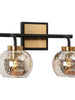 Rafflesia 2-Light Black and Brass Vanity Light