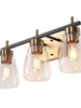 Rhododendron 3-Light Black and Brass Vanity Light