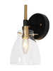 Aviannaiser 1-Light Black and Gold Vanity Light